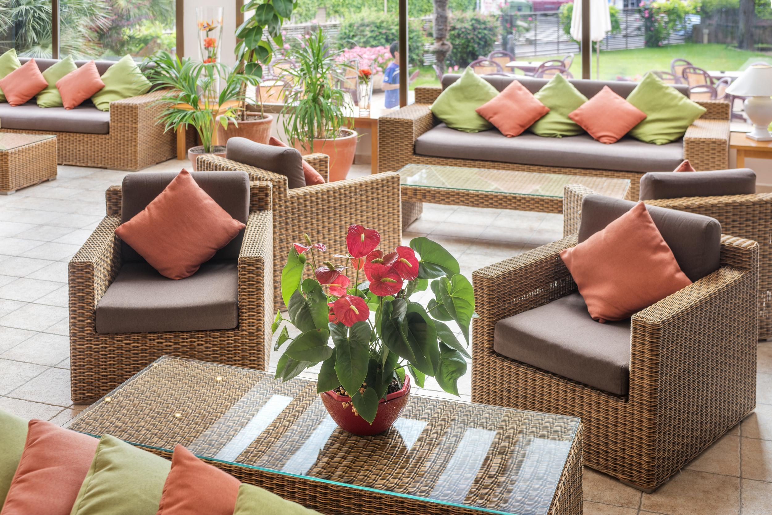 Sumus Stella And 4s Adults Recommended Hotel